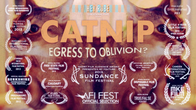 Catnip: Egress to Oblivion? – Short Film